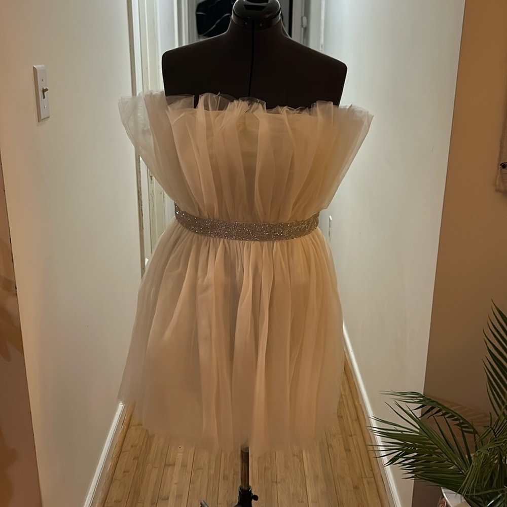 Betsey Johnson tulle dress, rhinestone waist. Flawless zipper, never worn, NWT